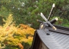 宝登山神社