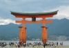 厳島神社大鳥居