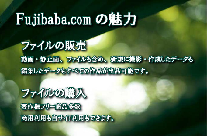 動画・静止画・ファイルのダウンロード販売のFujibaba.comの魅力