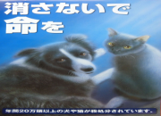 星野かなたさんによってダウンロード販売された製品です。