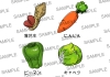 野菜セット1