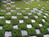 東福寺の庭