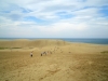 鳥取砂丘