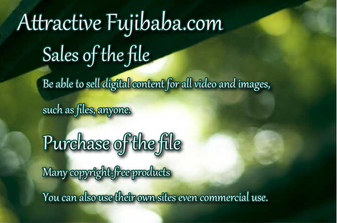 Attractive Fujibaba.com